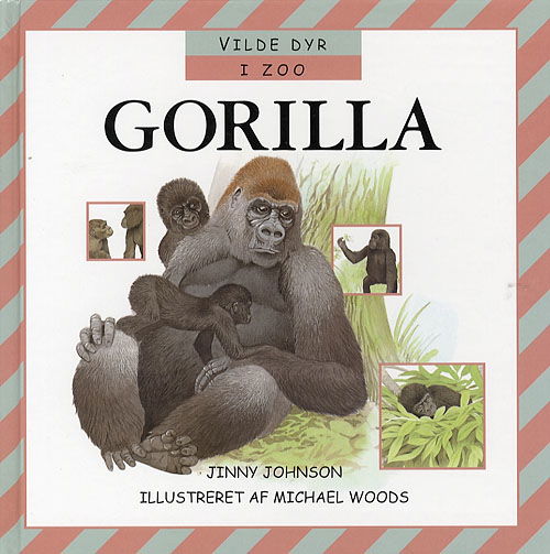 Cover for Jinny Johnson · Gorilla (Bound Book) [1e uitgave] (2006)