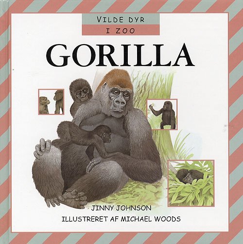 Cover for Jinny Johnson · Gorilla (Indbundet Bog) [1. udgave] (2006)