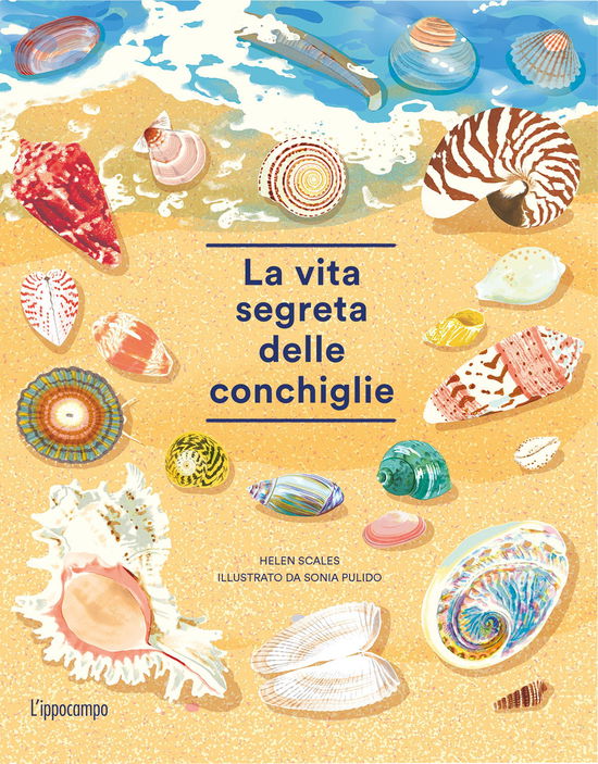 Cover for Helen Scales · La Vita Segreta Delle Conchiglie (Book)