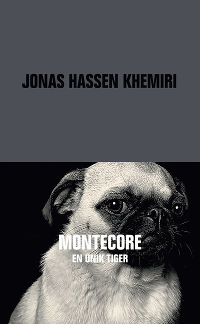 Cover for Jonas Hassen Khemiri · Montecore (Pocketbok) (2017)