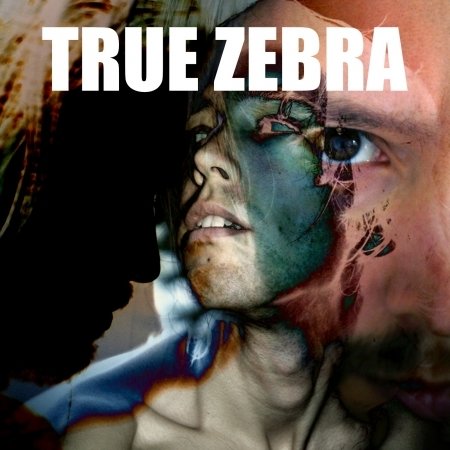 Cover for True Zebra · 123 (CD) [Limited edition] [Digipak] (2018)