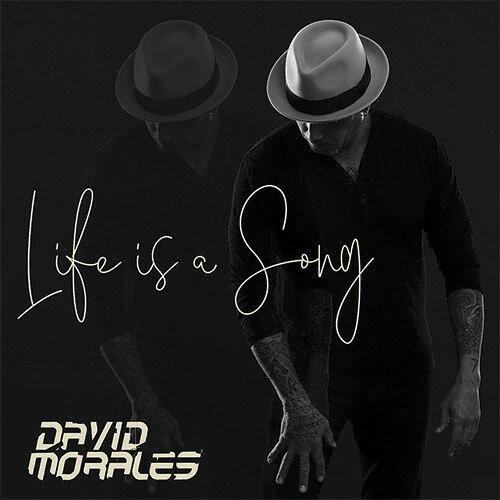 Cover for David Morales · Life Is A Song (LP) (2022)