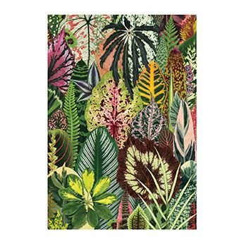 Cover for Galison · Houseplant Jungle A5 Journal (Papirvare) (2019)