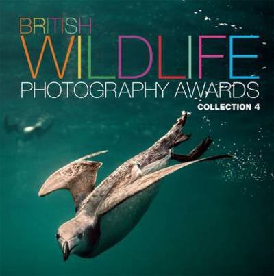 Cover for AA Publishing · British Wildlife Photography Awards (Innbunden bok) [4th edition] (2013)