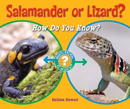 Cover for Melissa Stewart · Salamander or Lizard?: How Do You Know? (Which Animal is Which?) (Innbunden bok) (2011)
