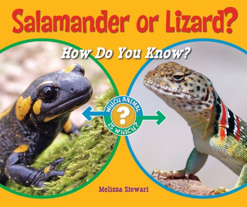 Cover for Melissa Stewart · Salamander or Lizard?: How Do You Know? (Which Animal is Which?) (Hardcover Book) (2011)