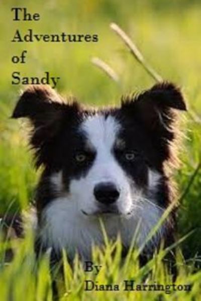 Cover for Author Diana Harrington · Adventures of Sandy, Part I (Paperback Book) (2017)