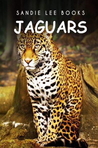 Cover for Sandie Lee Books · Jaguars - Sandie Lee Books (Paperback Book) (2014)