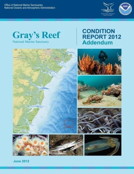 Cover for National Oceanic and Atmospheric Adminis · Gray's Reef National Marine Sanctuary Condition Report Addendum 2012 (Pocketbok) (2012)