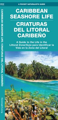 Cover for Waterford Press Waterford Press · Caribbean Seashore Life (Criaturas del Litoral Caribeno): A Guide to the Life in the Littoral Zone (Bilingual) - Pocket Naturalist Guide (Pamphlet) (2021)