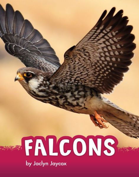 Cover for Jaclyn Jaycox · Falcons (Paperback Book) (2022)