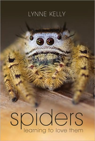 Cover for Lynne Kelly · Spiders: Learning to Love Them (Paperback Book) (2009)