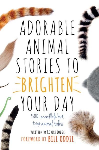 Cover for Chas Newkey-burden · Adorable Animal Stories to Brighten Your Day: 500 Incredible but True Animal Tales (Innbunden bok) (2017)