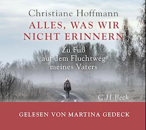 Cover for Hoffmann, Christiane; Gedeck, Martina · CD Alles, was wir nicht erinnern (CD)