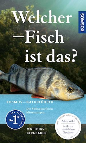 Cover for Matthias Bergbauer · Welcher Fisch ist das? (Book) (2024)