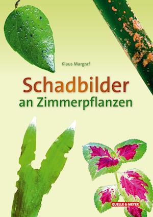 Cover for Klaus Margraf · Schadbilder an Zimmerpflanzen (Book) (2024)