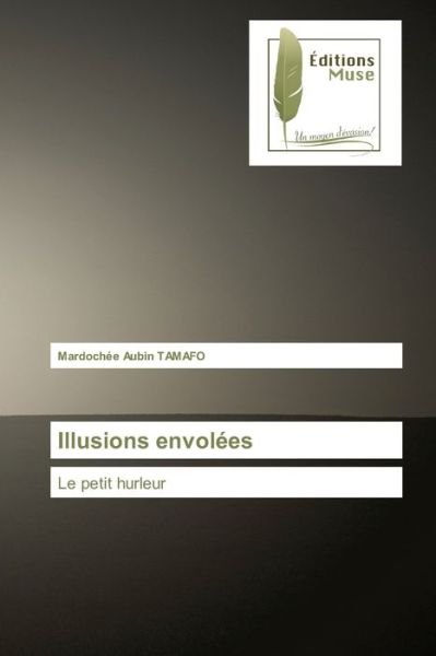 Cover for Mardochée Aubin Tamafo · Illusions envolees (Paperback Book) (2019)