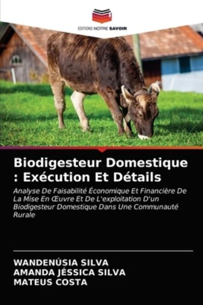 Cover for Wandenusia Silva · Biodigesteur Domestique (Paperback Book) (2021)