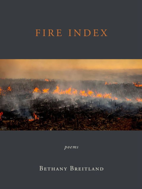 Cover for Bethany Breitland · Fire Index: Poems (Paperback Book) (2023)