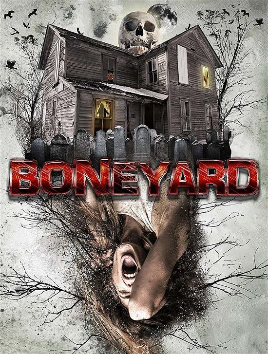 Cover for Boneyard (DVD) (2020)