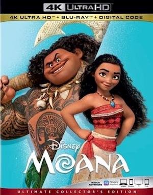 Cover for Moana (4K UHD Blu-ray) (2019)