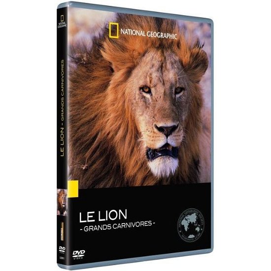 Cover for Le Lion - Grands Carnivores (DVD)