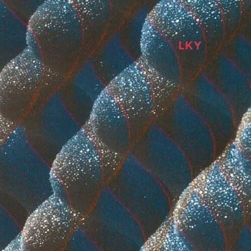 Cover for Len Faki · Symmetry Zone (LP) (2023)