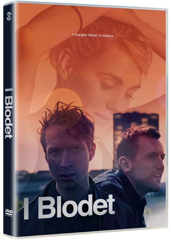 Cover for I Blodet (DVD) (2017)