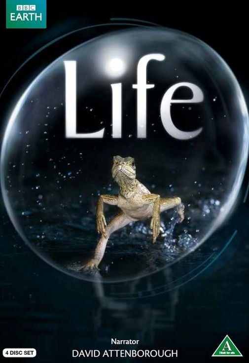 Cover for David Attenborough · Life (DVD) (2010)