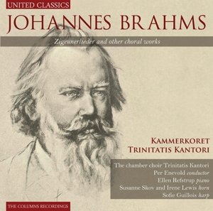 Cover for Johannes Brahms · Zigeunerlieder And Other Chora (CD) (2013)