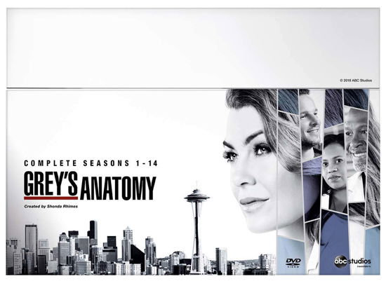 Cover for Grey's Anatomy · Grey's Anatomy - Season 1-14 (DVD) (2018)