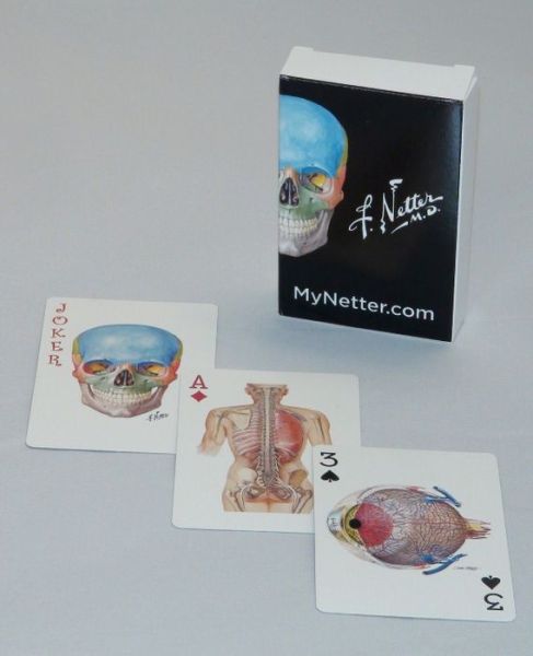 Cover for Netter, Frank H., MD · Netter Playing Cards: Netter's Anatomy Art Card Deck (Single Pack) - Netter Basic Science (Flashcards) (2017)