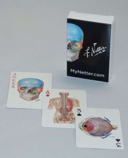 Netter Playing Cards: Netter's Anatomy Art Card Deck (Single Pack) - Netter Basic Science - Netter, Frank H., MD - Livros - Elsevier - Health Sciences Division - 9780323553797 - 20 de março de 2017
