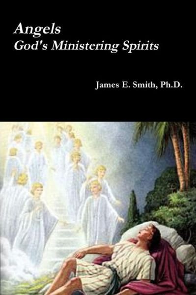 Cover for James E. Smith Ph.D. · Angels, God's Ministering Spirits (Taschenbuch) (2016)
