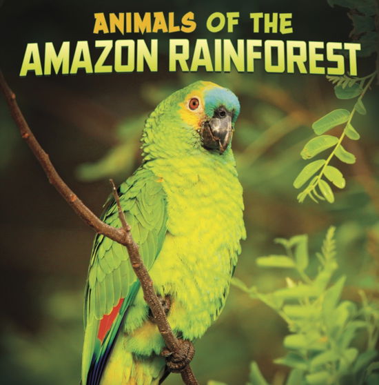 Cover for Mari Schuh · Animals of the Amazon Rainforest - Wild Biomes (Paperback Book) (2023)