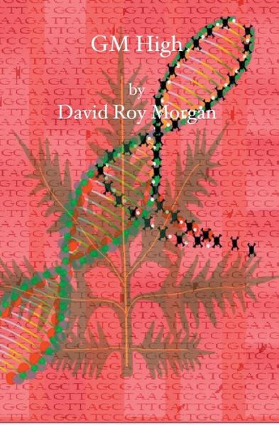 Gm High - David Roy Morgan - Bøger - BookSurge Publishing - 9781419640797 - 21. august 2006