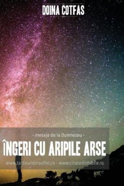 Cover for Doina Cotfas · Ingeri Cu Aripi Arse (Taschenbuch) (2016)