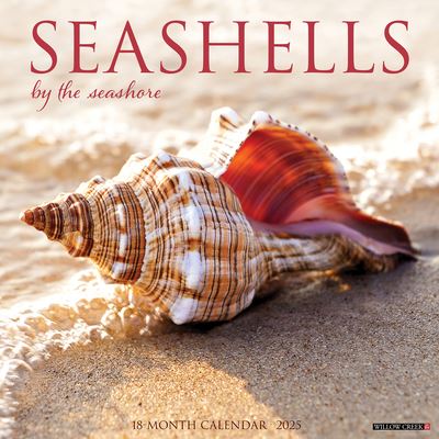 Willow Creek Press · Seashells 2025 12 X 12 Wall Calendar (Kalender) (2024)