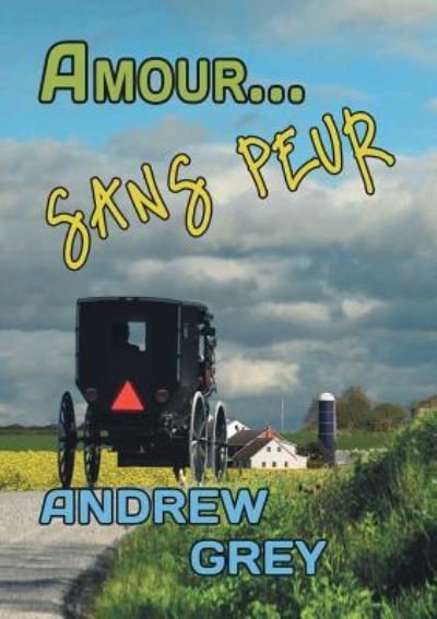 Cover for Andrew Grey · Amour... Sans Peur (Translation) - Amour (Pocketbok) (2017)