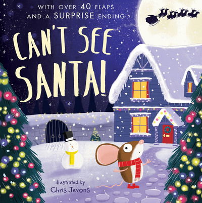 Can't See Santa! - Mandy Archer - Books - Liontree Publishing - 9781912756797 - October 1, 2020