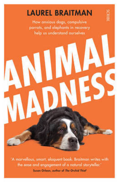 Cover for Laurel Braitman · Animal Madness: how anxious dogs, compulsive parrots, and elephants in recovery help us understand ourselves (Paperback Book) [UK edition] (2014)