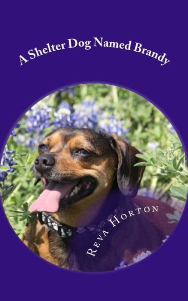 Cover for Reva Coker Horton · A Shelter Dog Named Brandy (Paperback Book) (2018)