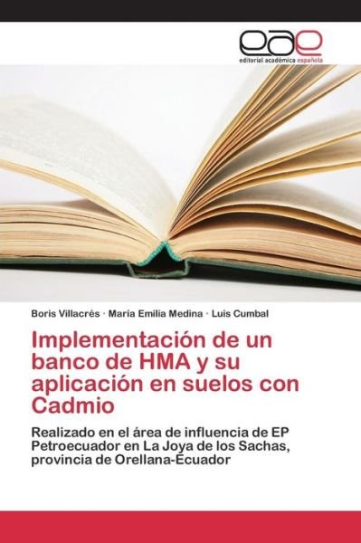 Cover for Cumbal Luis · Implementacion De Un Banco De Hma Y Su Aplicacion en Suelos Con Cadmio (Pocketbok) (2015)