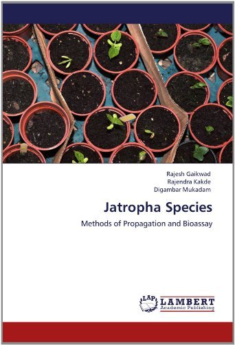 Cover for Digambar Mukadam · Jatropha Species: Methods of Propagation and Bioassay (Paperback Book) (2012)