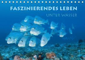 Faszinierendes Leben unter Wasser - Peyer - Books -  - 9783670724797 - 