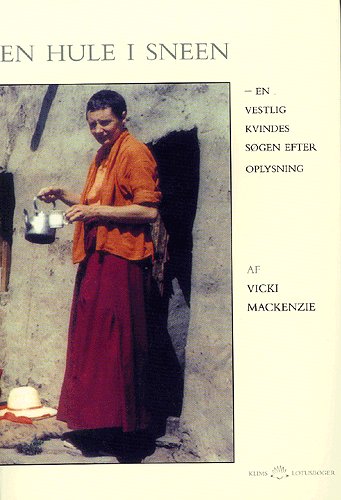 Cover for Vicki Mackenzie · En hule i sneen (Book) (2002)