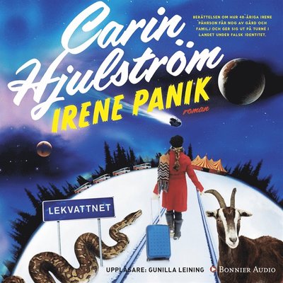 Cover for Carin Hjulström · Irene Panik (Audiobook (MP3)) (2015)