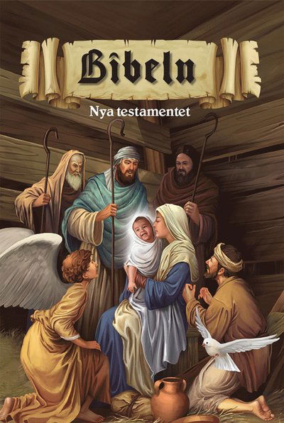 Cover for Bibeln Nya Testamentet (Hardcover Book) (2016)