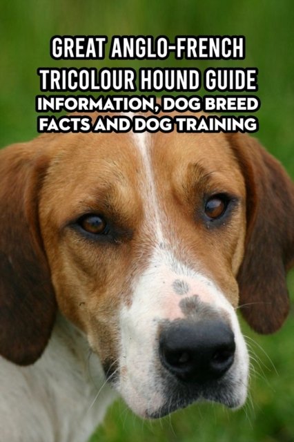 Cover for Lankford Marcus · Great Anglo-French Tricolour Hound Guide: Information, Dog Breed Facts and Dog Training: Great Anglo-French Tricolour Hound Handbook (Paperback Book) (2021)