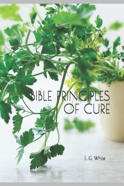 Bible Principles of Cure - I M S - Livres - Independently Published - 9798641124797 - 29 avril 2020